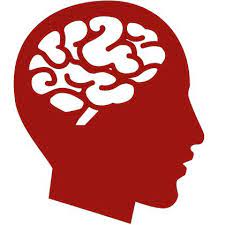 Human Brain Human Brain Brain Icon Brain Png