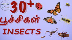 35 Wild Animals In Tamil And English Part 1 Youtube
