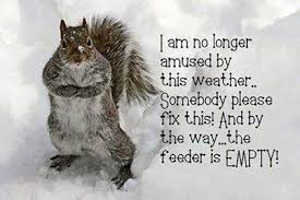 Funny quotes for cold weather. Chilly And Cold Funny Quotes Quotesgram