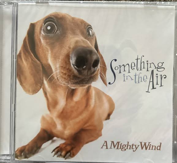 A MIGHTY WIND-Something In The Air CD