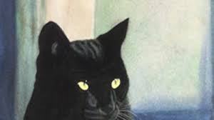 Following these guidelines could help you learn how to. En Eeuu Prohiben La Adopcion De Gatos Negros Hasta Que Pase Halloween