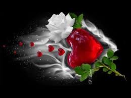 We did not find results for: Love Beautiful Roses Flowers Very Beautiful And Amazing Rose Love Flowers With Qouets Youtube