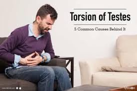 Use this gentle yoga routine for an upset stomach to increase vagal tone and peristalsis, bringing you back to a state of comfort. Torsion Of Testes 5 Common Causes Behind It By Dr Rahul Reddy Lybrate