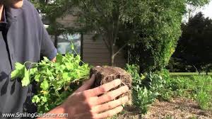 We did not find results for: Microbial Inoculants Optimal Health In Your Garden