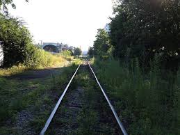 Abandoned Rail Tracks In Cambridge Ma Train Tracks Abandoned Train Abandoned