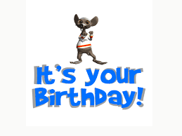 Of course, it`s your birthday! It S Your Birthday Gif Animated Images Funny Bday Gifs