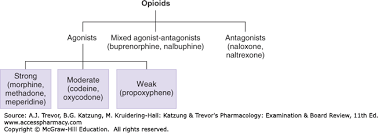 Opioid Analgesics Antagonists Katzung Trevors