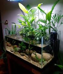 50 Gallon Planted Riparium Found On Hydrophytesblog Com Indoor Water Garden Amazing Aquariums Aquarium