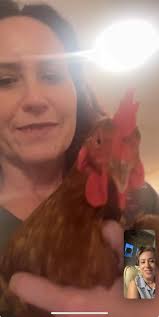 Sour crop treatment for chicken?