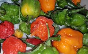 Check spelling or type a new query. Come Conservare I Peperoncini Piccanti Freschi Congelati