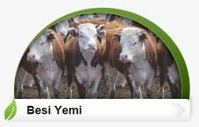 Besyem Besi Yemi Hayvan Yemi Sut Yemi Tavuk Yemi Hayvan Urunler