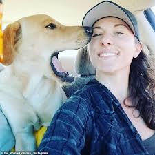 Wholesome moment Bryce the dog captures the hearts of strangers as the  endurance-hiking pup carries a 'mighty big stick' while out for a walk