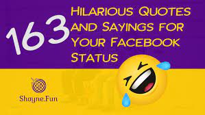 163 Hilarious Quotes And Sayings For Your Facebook Status Shayne Fun