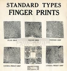 Fingerprints Restored 1930s Chart For Fingerprint