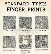 fingerprints restored 1930s chart for fingerprint