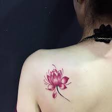 Tatuagem Feminina Delicada Flor De Lotus Yolanda S A tatuagem feminina pequena e delicada faz parte dos corpos de muitas mulheres famosas, nas quais estão. tatuagem feminina delicada flor de