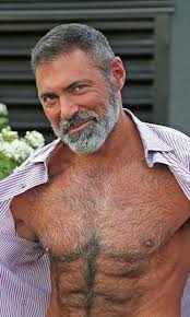 Pin On Silver Fox