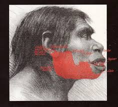 Science Cafe Bloomington