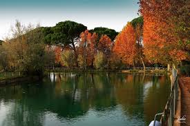 Planetofhotels.com'da sunulan konaklama birimlerin bilgisini, fotoğrafları, haritadaki konumlarını, misafir yorumlarını daha ayrıntılı bir şekilde inceleyebilirsiniz. Balneario Termas De Pallares Alhama De Aragon Por Julio Millan De Castro Fotografia Turismo De Observacion