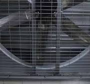 50-Inch Industrial Axial Flow Exhaust Fan China Factory Wall-Mounted for  Poultry Farm Greenhouse Box Ventilation Steel Iron