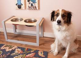 Comparison of village dog and wolf genomes highlights the role of. Products Projects Back Product Categories Back Caulks Sealants Adhesives Patch Repair Spray Foam Insulation Products By Project Back Kitchen Bath Gutters Flashing Roof Painting Trim Wall Repair Household Repair Weatherization Pest