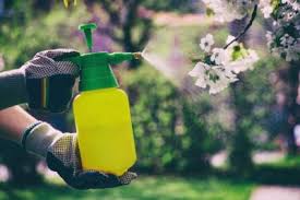 Homemade Plant Fungicide Diy Fungicides For The Garden And Lawn
