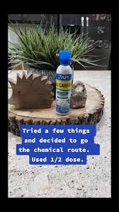 Api Marine Algaefix Algae Control 16-Oz Bottle - Chewy.Com