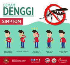 Serangkaian gejala mengantarkan pasian melewati beberapa fase dbd. Tanda Tanda Demam