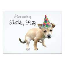 Puppy In Party Hat Birthday Invitation Zazzle Com Birthday Invitations Party Hats Party