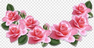 I got new lingerie and wanted to show it off! Rose Pink Flower Lifebuoy Flower Arranging Artificial Flower Flower Png Pngwing