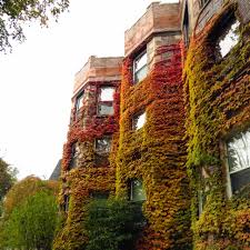 It is located on the shore of lake. Loving The Fall Colors Hyde Park Chicago