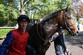 Great deals on minarik guitars & basses. Minarik Reitet So Chivalry Im Deutschen Derby Galopponline