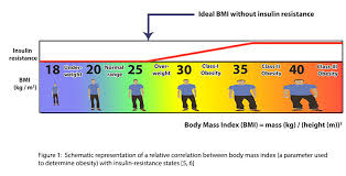 We did not find results for: An Introduction To The Link Between Type 2 Diabetes And Obesity Comvita Nz