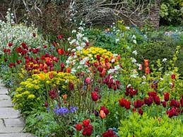 Check spelling or type a new query. Time To Give Up The Pot Why It S Much Better To Plant In The Ground Gardening Advice The Guardian