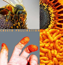 E Is For Explore Pollination Ecosystems Lessons Teaching Science Agriculture Education