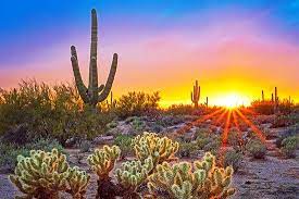 We loved hiking the different trails at the mcdowell sonoran preserve while visiting scottsdale. Scottsdale Mcdowell Sonoran Preserve Picture Of Scottsdale Central Arizona Tripadvisor