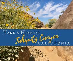 They charge per person there which was $12.50 per adult. Take A Hike Up Southern California S Tahquitz Canyon Backroad Planet