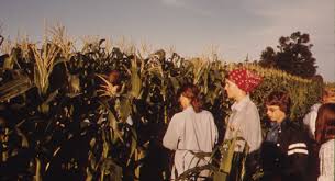 As Teens Wait For Work, Ag Firms Turn To Guest Workers To Tend To Midwest  Cornfields | Stlpr