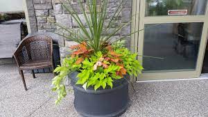 Contact Us Plantation Garden Centre