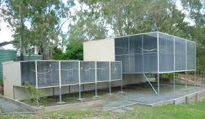 Outdoor Bird Aviary For Sale Nz Image Result For Suspended Bird Aviary Designs Voliere Kooi