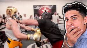 Find the best boxing gloves you'll love! What Really Happened At Social Gloves Youtube Boxing Event Fousey Stromedy Austin Mcbroom Youtube