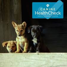 Canine Healthcheck K9healthcheck Instagram Photos And Videos Canine Health Check Dog Adoption