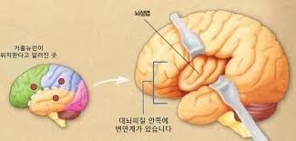 images?q=tbn:ANd9GcQZzVn54bvo h1n7 FoXmx gnlrotBezfcBvQ&s