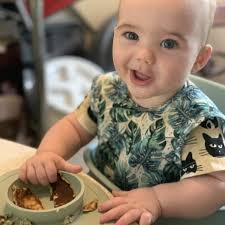 Don't Feed Off the Tray: 5 Benefits of Using a Suction Mat or Bowl