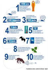 We did not find results for: La Punaise De Lit