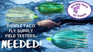 We did not find results for: Purple Taco Fly Supply Field Testers Needed Youtube