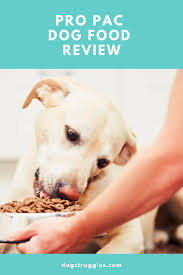 Our pro pac ultimates puppy formula has been added to dog food advisor's editor's choice list as one of february's best dry puppy foods! Pin On Dog Nutrition