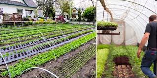 Urban Farming Masterclasses 27 28 Feb 2016 Melbourne Urban Farming Urban Farmer Urban