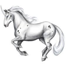 Image result for howrse unicorns