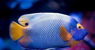 Many men go fishing all of their lives without knowing that it is not fish they are after, henry david thoreau. Inspirational Fishing Quotes That Ll Make You Wanna Go Out Right Now